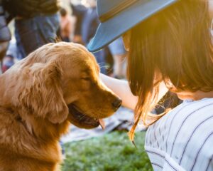 Scopri di più sull'articolo Unità Cinofile: L’importanza dei cani addestrati nelle operazioni di ricerca e soccorso