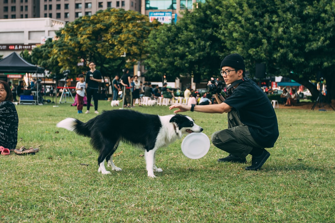 Al momento stai visualizzando Addestratori di cani: la soluzione ai problemi comportamentali.