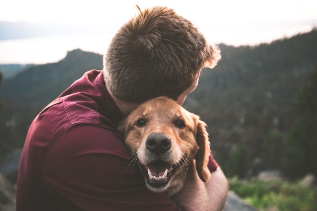 Photo Dog, nose, dry